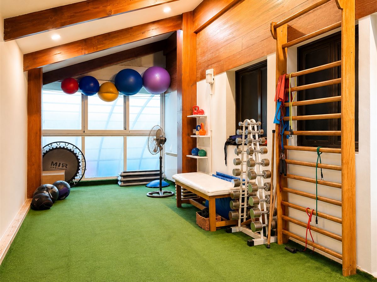 Gimnasio de rehabilitación con espaldar sueco, mancuernas, pelotas de esferodinamia y piso de césped sintético